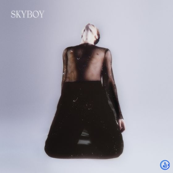 Skyboy Album