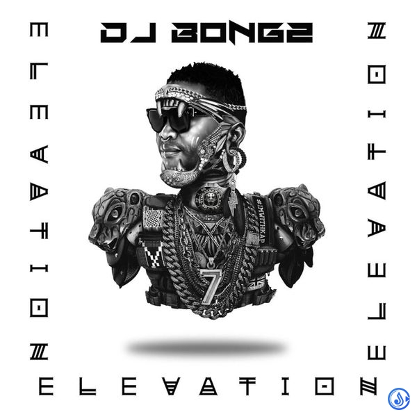 DJ Bongz - Mosquito ft. Stoorne
