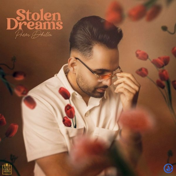 Stolen Dreams Album